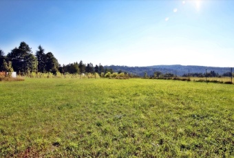 Dom na sprzedaż w Dynów   o powierzchni 160 mkw