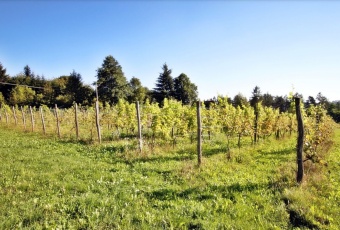 Dom na sprzedaż w Dynów   o powierzchni 160 mkw