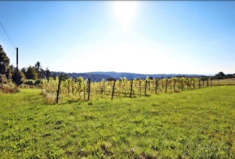 Dom na sprzedaż w Dynów   o powierzchni 160 mkw