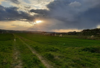 Działka budowlana z Warunkami Zabudowy