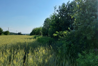 Działka na sprzedaż w Mszczonów   o powierzchni 20200 mkw