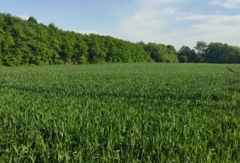 Działka na sprzedaż w Końskowola Stary Pożóg  o powierzchni 20000 mkw