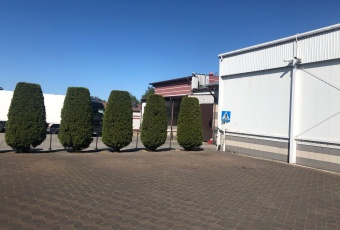 Komercja na sprzedaż w Święciechowa Święciechowa Śmigielska 4 o powierzchni 5350 mkw