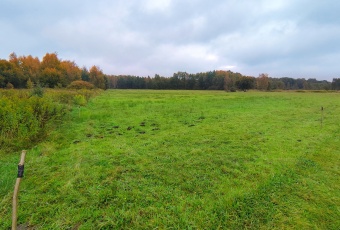 Działka na sprzedaż w Kotuń Sosnowe  o powierzchni 5140 mkw