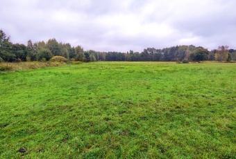 Działka na sprzedaż w Kotuń Sosnowe  o powierzchni 5140 mkw