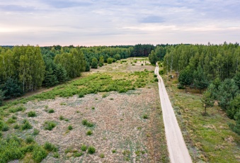  Działka budowlana 1000 m2 w Puszczy Białej | MPZP