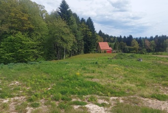 Działka na sprzedaż w Ciężkowice  Kąśna Górna o powierzchni 1000 mkw