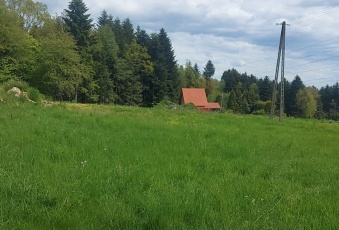 Działka na sprzedaż w Ciężkowice  Kąśna Górna o powierzchni 1000 mkw