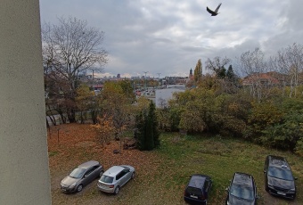 Mieszkanie na wynajem w Poznań Nowe Miasto Konarskiego o powierzchni 39 mkw