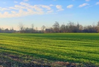 Kup działkę pod choinkę! Tanie działki na Mazurach