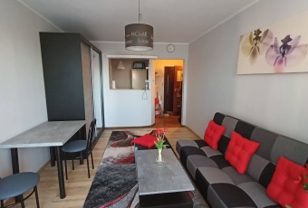 Mieszkanie na sprzedaż w Poznań   o powierzchni 29 mkw