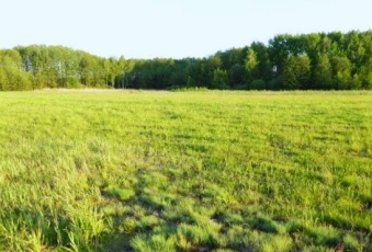 Duchnów Piękna Działka BUDOWLANA 1200m MEDIA MPZP 