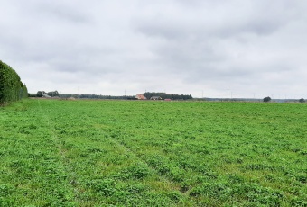 Działka na sprzedaż w Somonino Borcz Spacerowa o powierzchni 1000 mkw