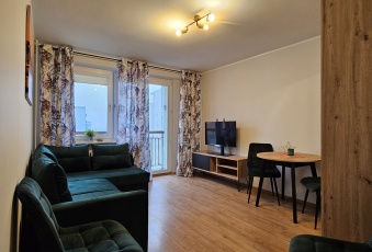 Mieszkanie na wynajem, Poznań wielkopolskie - oferta 827102 Bez Prowizji !!! - 3 pokoje (52m2) - ul. Palacza