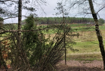 Działka na sprzedaż w Lipnica Osowo Duże  o powierzchni 236000 mkw