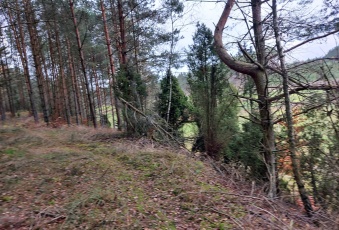 Działka na sprzedaż w Lipnica Osowo Duże  o powierzchni 236000 mkw