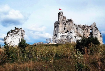 Działka na sprzedaż w Włodowice Rzędkowice Polna o powierzchni 31493 mkw