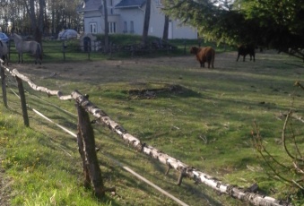 Dom na sprzedaż w Świercze Chmielewo  o powierzchni 120 mkw