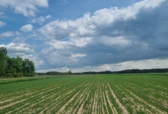  Dz.bud. blisko natury i miasta, bez bezp.sąsiadów