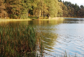 Mazury!! Działki 3000m w okolicach jeziora Garbas