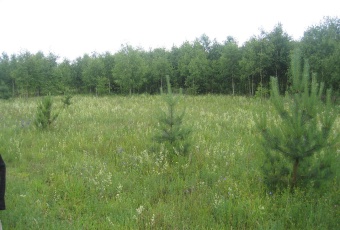 Działka na sprzedaż w Reszel  Staniewo o powierzchni 600 mkw