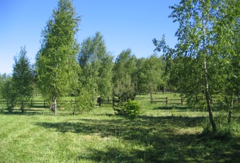 Działka na sprzedaż w Reszel  Staniewo o powierzchni 600 mkw
