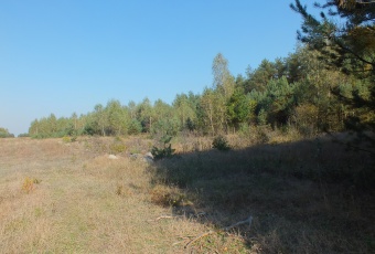 Działka rolna-siedliskowa