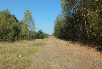 Działka na sprzedaż w Winnica Winnica  o powierzchni 3134 mkw