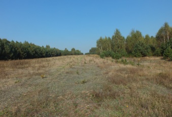 Działka na sprzedaż w Winnica Winnica  o powierzchni 3134 mkw