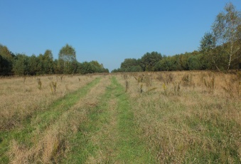 Działka na sprzedaż w Winnica Winnica  o powierzchni 3134 mkw