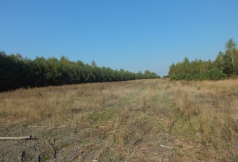 Działka na sprzedaż w Winnica Winnica  o powierzchni 3134 mkw