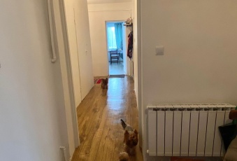 Dom na wynajem w Stopnica   o powierzchni 80 mkw