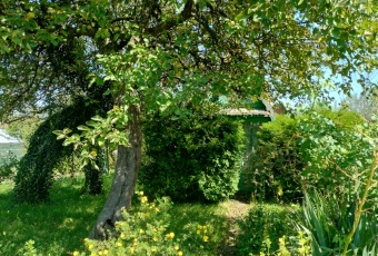 Działka na sprzedaż w Nowy Sącz Falkowa Botaniczna o powierzchni 300 mkw