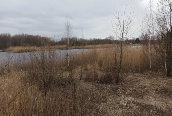 Działka na sprzedaż w Strzegowo Pokrytki  o powierzchni 58000 mkw