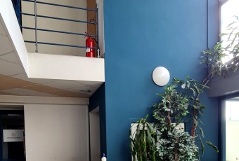 Komercja na wynajem w Tarnów Grabówka  o powierzchni 214 mkw