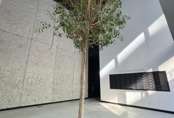 Mieszkanie na sprzedaż w Lublin Śródmieście Wieniawska 11 o powierzchni 46 mkw