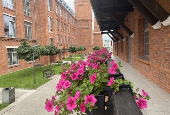 Komercja na wynajem w Łódź Śródmieście Tylna 4f o powierzchni 140 mkw