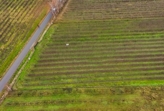 Działka na sprzedaż w Jasieniec Warpęsy  o powierzchni 1200 mkw