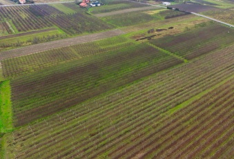 Działka na sprzedaż w Jasieniec Warpęsy  o powierzchni 1200 mkw
