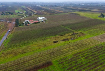 Działka na sprzedaż w Jasieniec Warpęsy  o powierzchni 1200 mkw