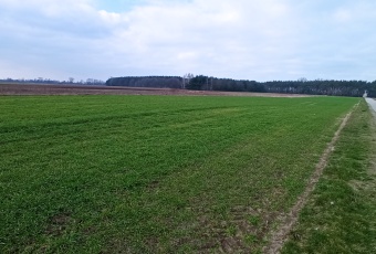 Działka na sprzedaż w Łowicz Łowicz Łódzka o powierzchni 6500 mkw
