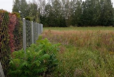 Działka na sprzedaż w Nieborów Piaski  o powierzchni 3001 mkw