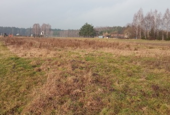 Działka na sprzedaż w Nieborów Piaski  o powierzchni 3001 mkw