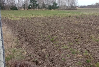 Działka na sprzedaż w Nieborów Piaski  o powierzchni 3001 mkw