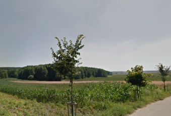 Dom Bolesław 10km od Racibórz Piekna Okolica 700m