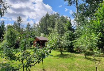 Działka na sprzedaż w Iława Starzykowo   o powierzchni 11561 mkw
