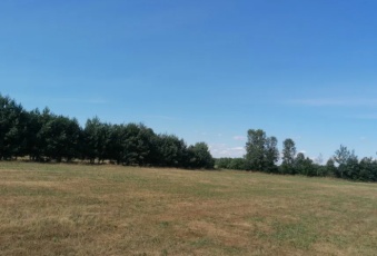 Działka na sprzedaż w Grabów nad Pilicą Brzozówka Wyborów 19h o powierzchni 1000 mkw