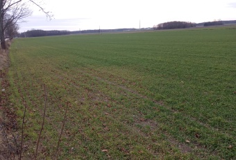 Działka na sprzedaż w Winnica Winnica Warszawska o powierzchni 1000 mkw