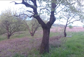 Działka na sprzedaż w Iwanowice  Zamoście 24 o powierzchni 1400 mkw