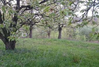 Działka na sprzedaż w Iwanowice  Zamoście 24 o powierzchni 1400 mkw